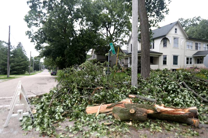 Several trees throughout Elburn were damaged after a storm the evening of Monday, July 15, 2024.