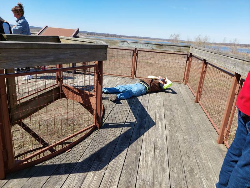 A viewer lies on his back to get a better view of the partial solar eclipse Monday, April 8, 2024, from the tower at the Dixon Waterfowl Refuge just outside of Hennepin.