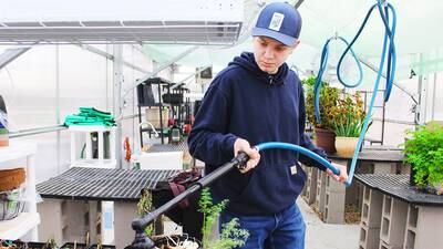 Lessons take root at Morrison High’s greenhouse