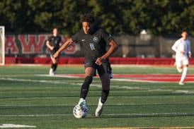 Presenting the 2024 Herald-News All-Area Boys Soccer Team