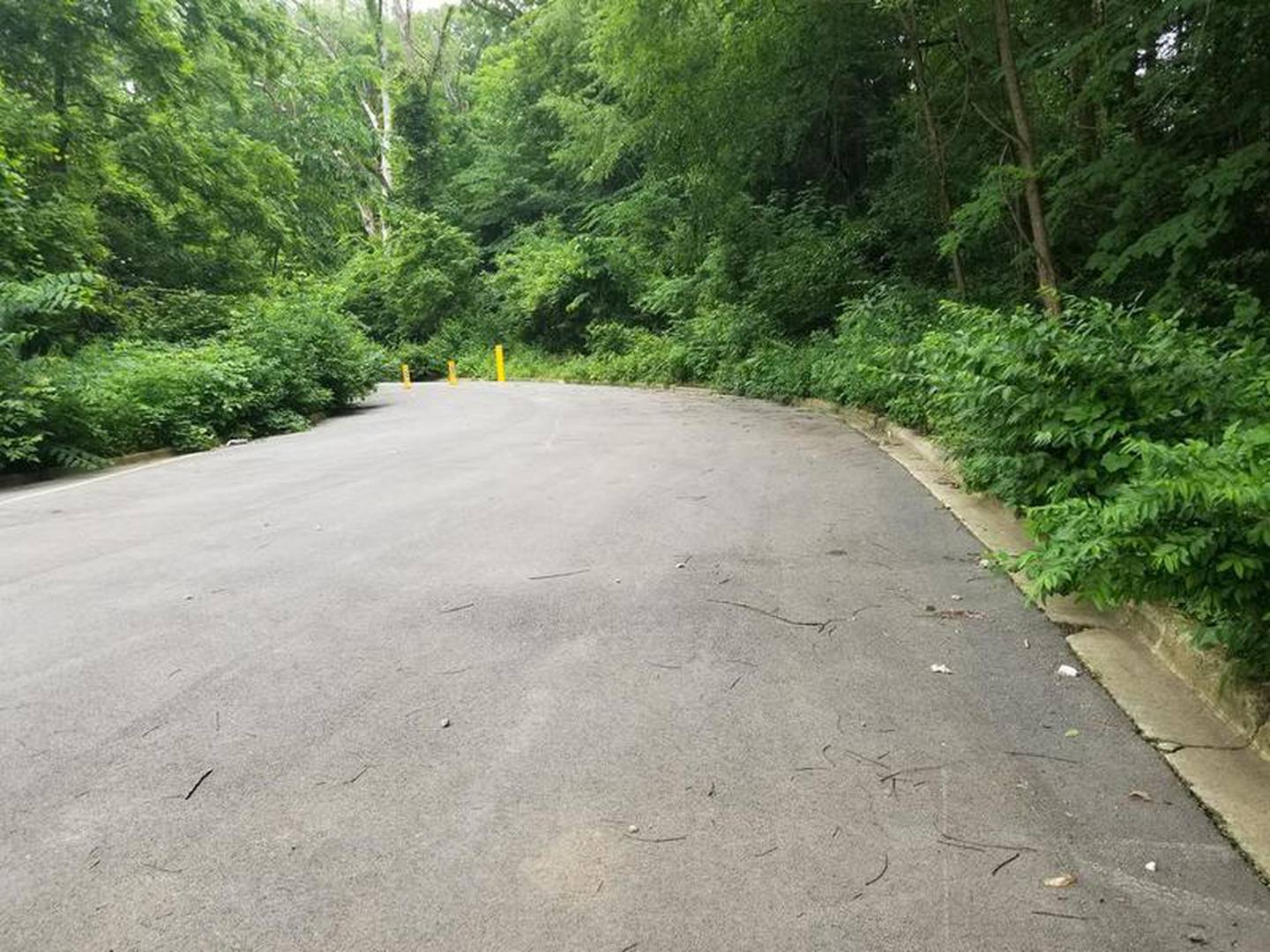 He also recalled an old dance hall up on the hill. Barry also is happy to see Snake Hill is now repaired and open to pedestrians.

"They did a good job with it," Barry said.