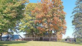 A bridal shower for daughter Lovina