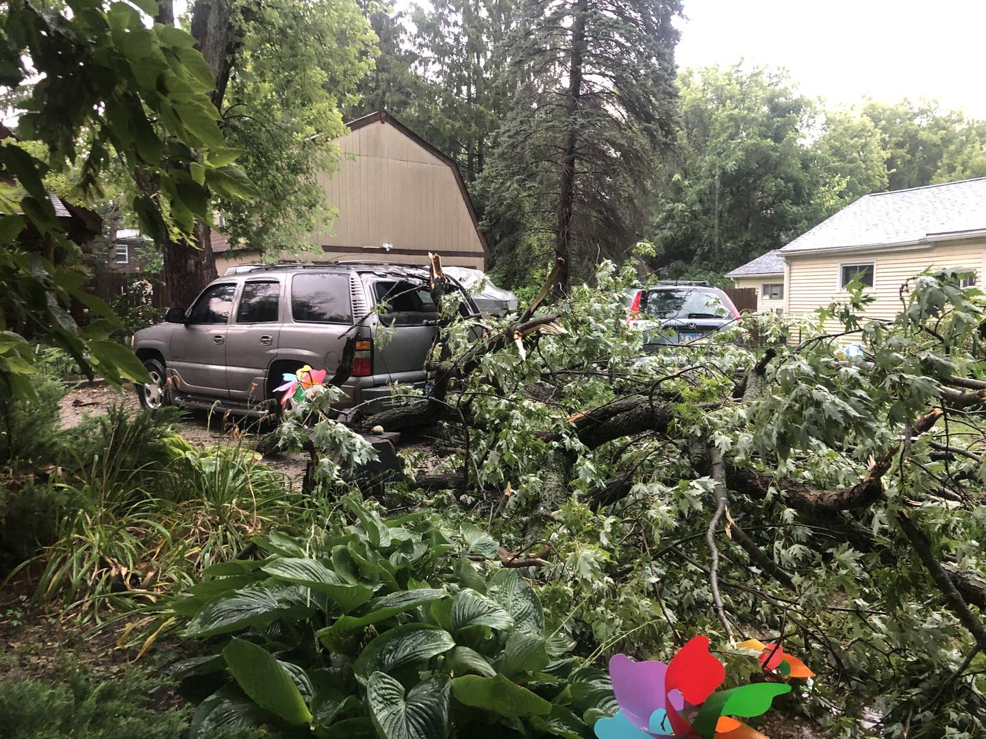 A tree went through the back window of this vehicle on Bloner Parkway in unincorporated Fox River Grove during the storm that rolled through at about 4 p.m. Saturday, Aug. 16, 2025.