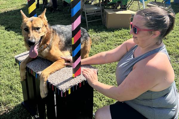 Dogs pant, sniff their way through rescue rally in Oregon