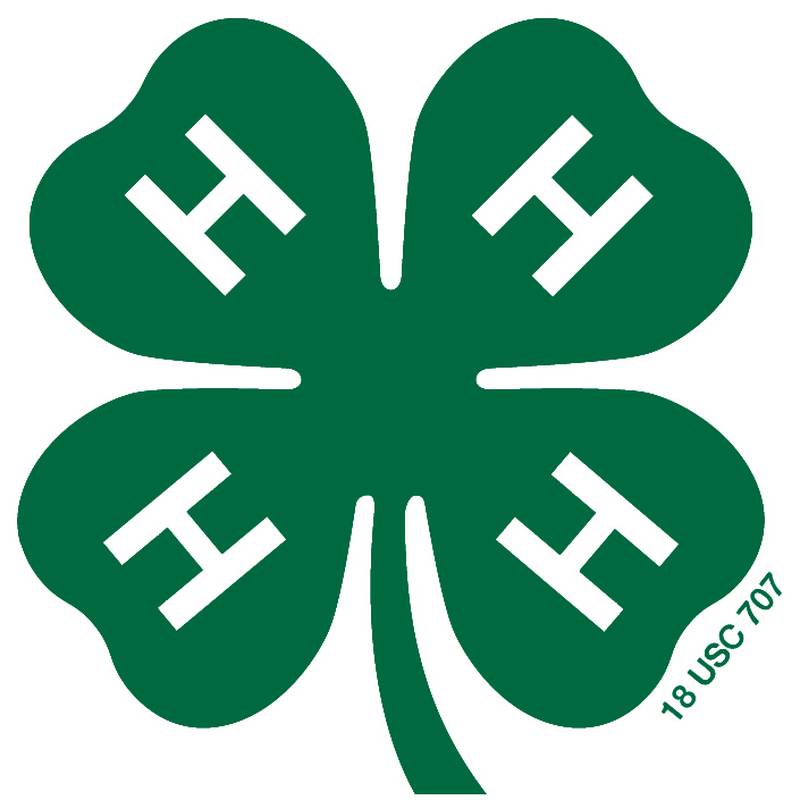 4-H logo