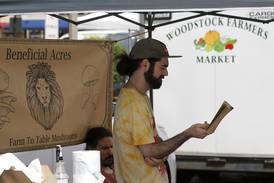 Photos: Woodstock's Tuesday Farmers Market