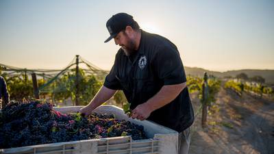 Uncorked: McPrice Myers sees the potential in Paso Robles