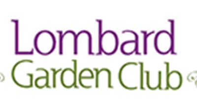 Author to discuss bison and Illinois tall grass prairie at Lombard Garden Club meeting