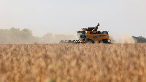 Bountiful harvest in Kankakee County