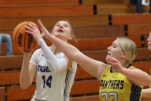Princeton rolls past Putnam County, Hall wins opener at Princeton tournament