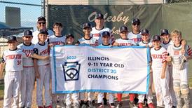 Streator 11s capture District 20 championship, advance to state