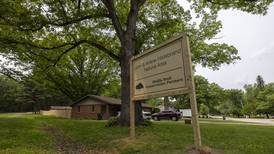 Middle Rock Conservation acquires 11-acre forest plot in Grand Detour