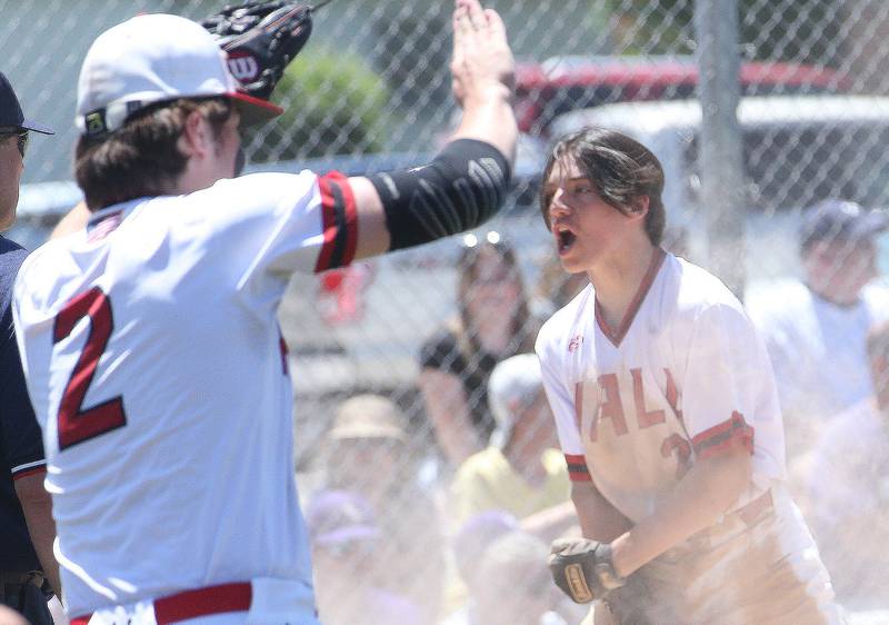 Hall's Jack Curran reacts after scoring a run against Sherrard as teammate Ashton Pecher gets ready to hi-five him during the Class 2A Sectional final game on Saturday, May 27, 2023 at Knoxville High School.