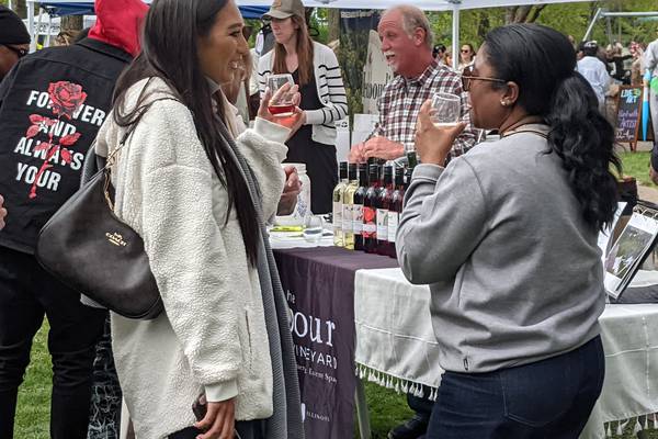 Photos: Wine on the Fox in Oswego
