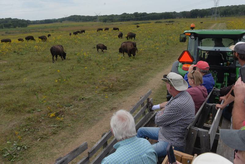 Bison tours were offered during the Nachusa Grassland's Autumn on the Prairie on Saturday, Sept. 16, 2023.