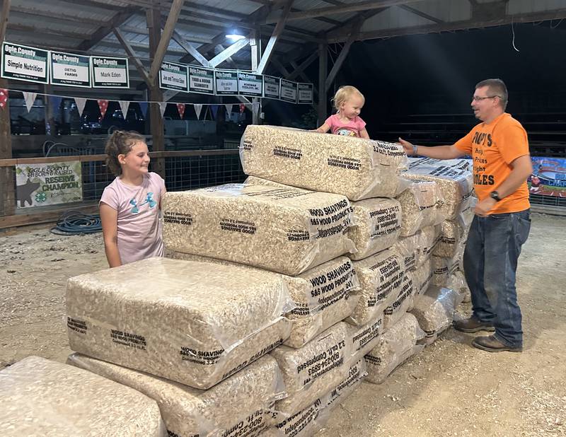 Karly Jo Early, 2, of Oregon, climbs on bales of wood shavings in the hog barn at the Ogle County 4-H Fair on Wednesday night, July 31, 2024 as her dad, Steve, right, and friend Emree Wiltfang, 10, of Leaf River try and corral her.