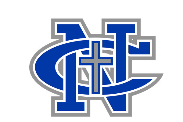 4 Newman students named Illinois State Scholars