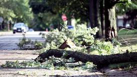 Kane County launches new emergency alert system. Here’s how to sign up