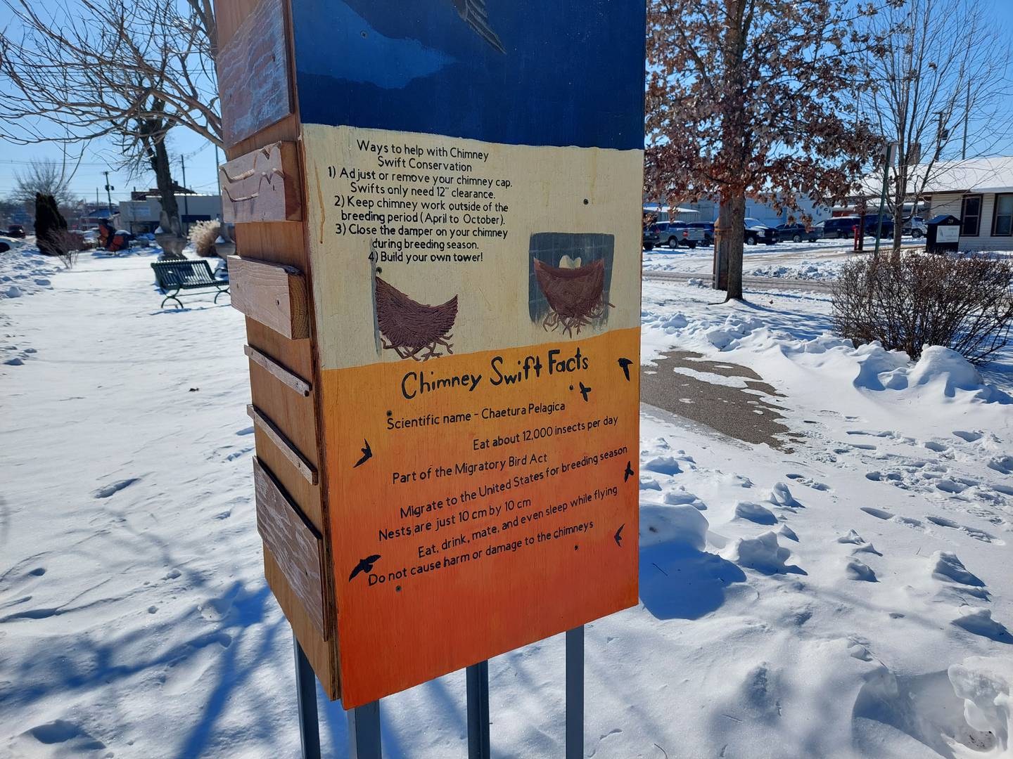 Grace Johnson, of Spring Valley, created as her Eagle Scout project a 12-foot tall sculpture in Ottawa that can be a home for migratory birds that will be returning to the area this spring.