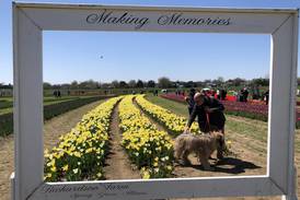 Richardson Farm Tulip Festival: Stop and take in the flowers while tulips are in bloom