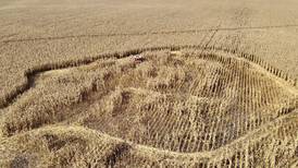 Firefighters battle blaze in a corn field near IL Route 47 in Yorkville