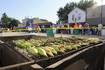 It’s Corn Bowl time: Sweet corn season earmarked by annual Herscher event