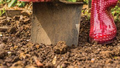 Preparing garden beds for spring and beyond