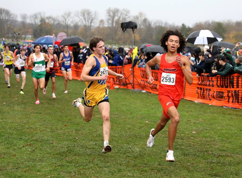 Wheaton North's Quinn Murphy (right) and Wheaton Warrenville South's Samuel Purdue compete in the Class 3A State Cross Country Championships on Saturday, Nov. 9, 2024 at Detweiller Park in Peoria.