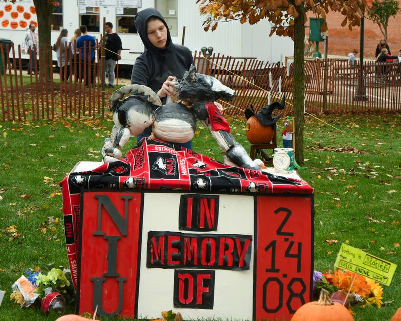 Rebekah Nielsen touches up her pumpkin display of a huskie during the Sycamore Pumpkin Festival where it was on display at the Sycamore courthouse lawn on Friday Oct. 27, 2023.