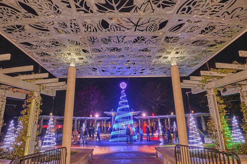 “Illumination: Tree Lights at The Morton Arboretum” returns for its 13th year beginning Saturday, Nov. 15 and runs through Saturday, Jan. 3, 2026.