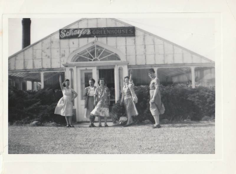 In 2026, Schaefer Greenhouses is celebrating 100 years 'under the glass' in Montgomery.