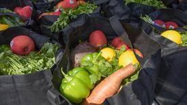 Will County Executive Bertino-Tarrant hosting produce pop-up in Monee  