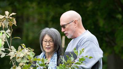 Plant for the Future at OAKtober Sale