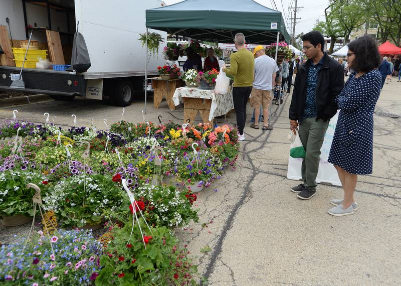 Smaran Mandala and Shaily Rungta of Downers Grove look over the flowers during the Downers Grove Farmers Market Saturday May 13, 2023.