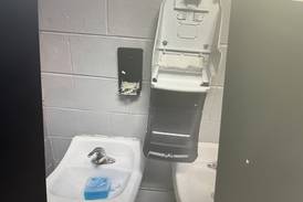 Juvenile cited for bathroom vandalism at Hegeler Park