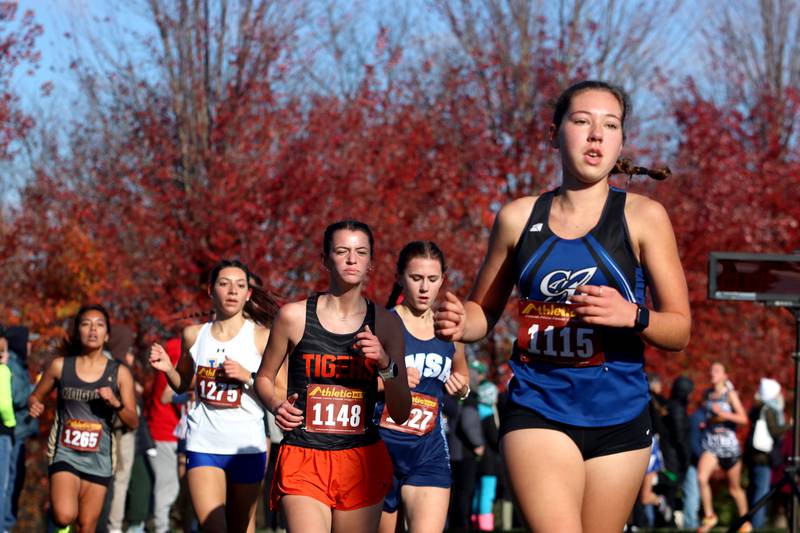 Runners compete during a girls Class 2A Sectional Cross Country Meet at Emricson Park in Woodstock Saturday.