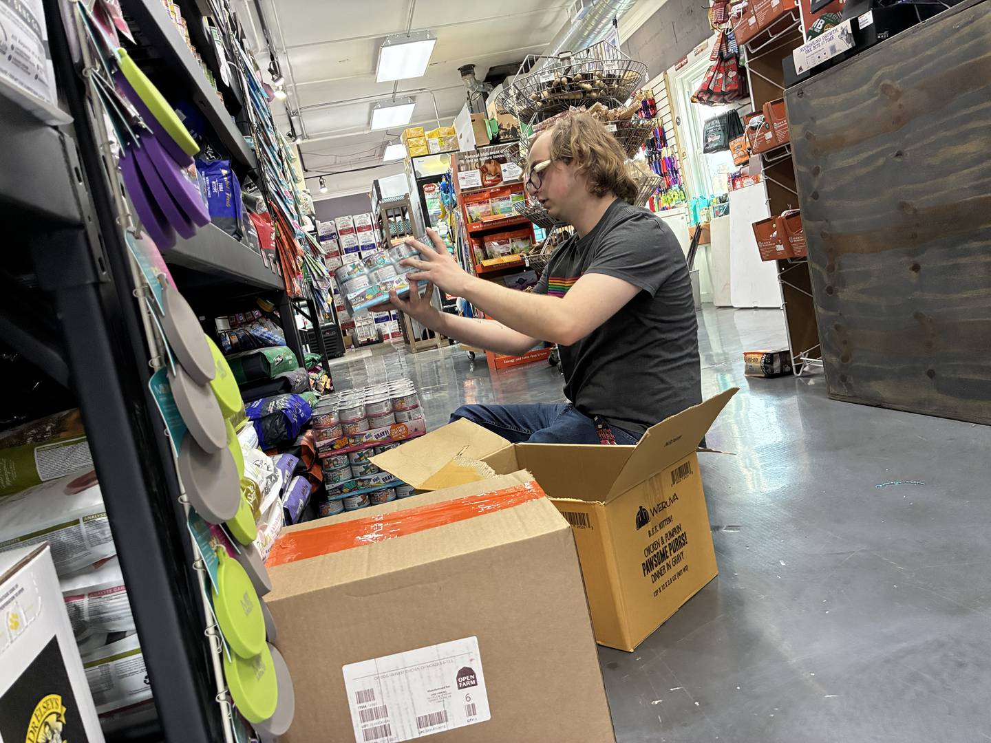 Store manager Matthew Taylor shelves cat food at Reeses Barkery and Pawtique on Wednesday, March 4, 2026. The McHenry pet emporium is settling into a temporary store, at 3314 Pearl St., McHenry, following a fire Jan. 18 at their Riverside Drive location.