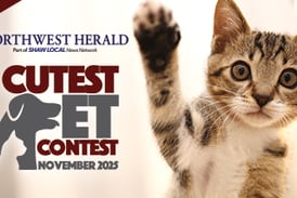 McHenry County November Cutest Pet 