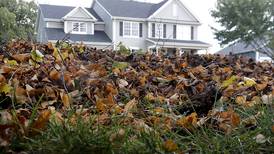 Early, heavy snow bumps some fall leaf collection to spring in McHenry 
