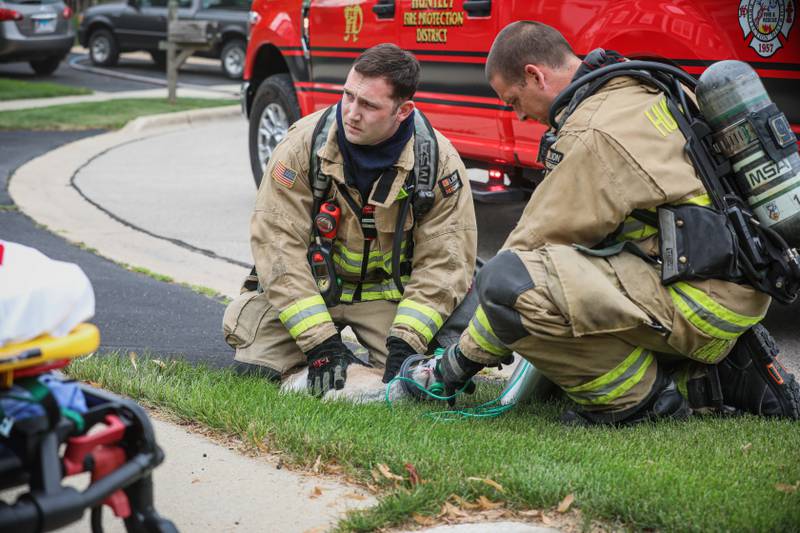 A cat was treated for smoke inhalation after a fire in Huntley July 26, 2025.