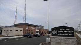DuPage Animal Services celebrates $1 million gift as shelter is ‘overflowing’ with cats
