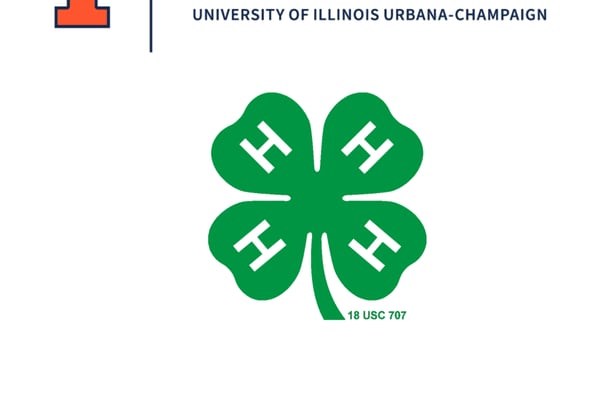 Ogle County 4-H invites youths to Day of Dabbling on Feb. 28