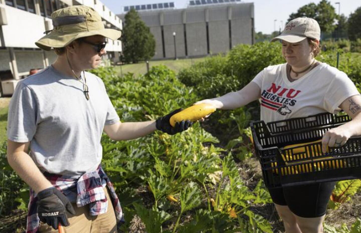 NIU Edible Campus Market Garden student workers