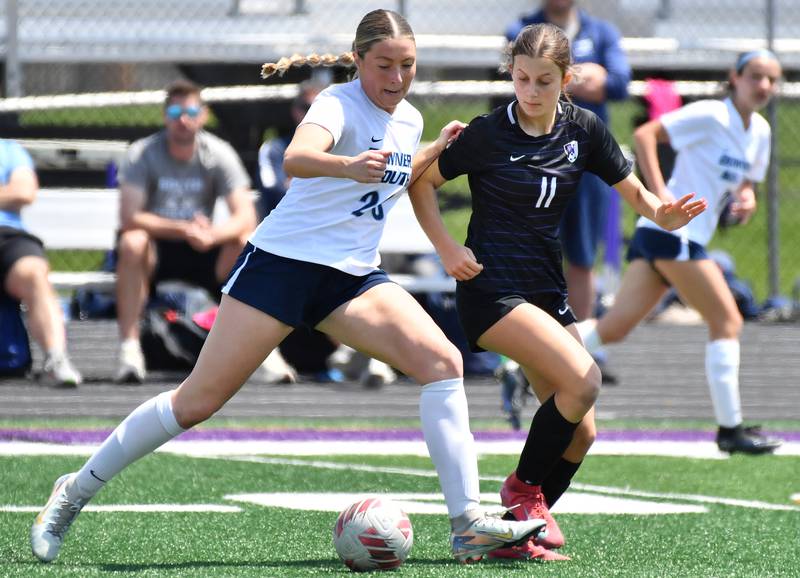 Downers Grove South’s Ashley Molinari and Downers Grove North’s Jordyn Sashin (11) tangle for the ball during a game on May 10, 2025 at Downers Grove North High School in Downers Grove .