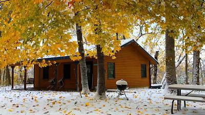 Kishauwau's Cabins Offers Black Friday Bargain