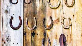 Equine Dreams awarded grant for accessible tack room construction