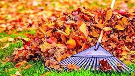 City of St. Charles to begin leaf collection Oct. 25