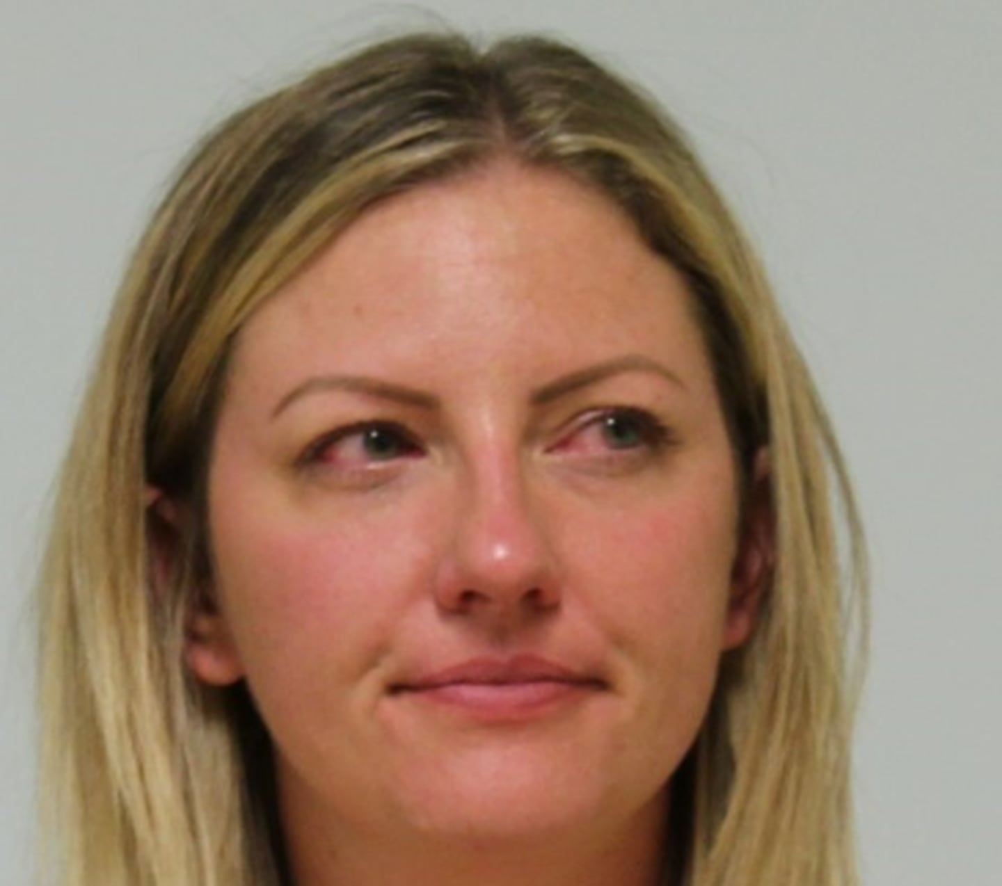 Former Will County board member pleads guilty to DUI after 4 vehicle