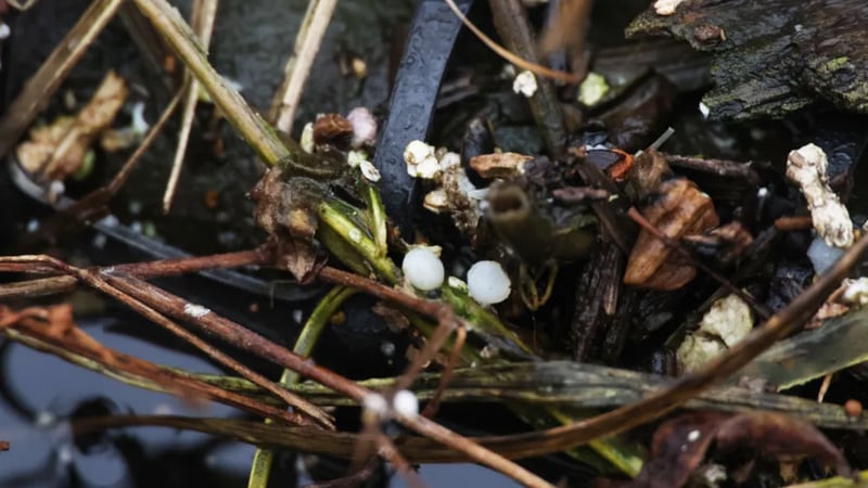 Bill would give Illinois EPA greater oversight of manufacturers’ plastic pellet runoff