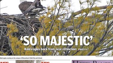 Historical covers for April 4: ‘So Majestic’: Bald eagles back from near extinction